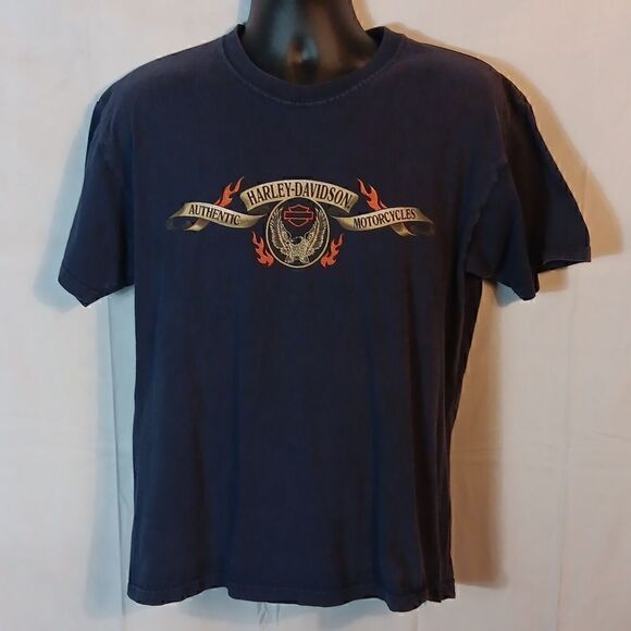 Harley-Davidson Capitol City Tallahassee Florida Men's Tee - Picture 1 of 7